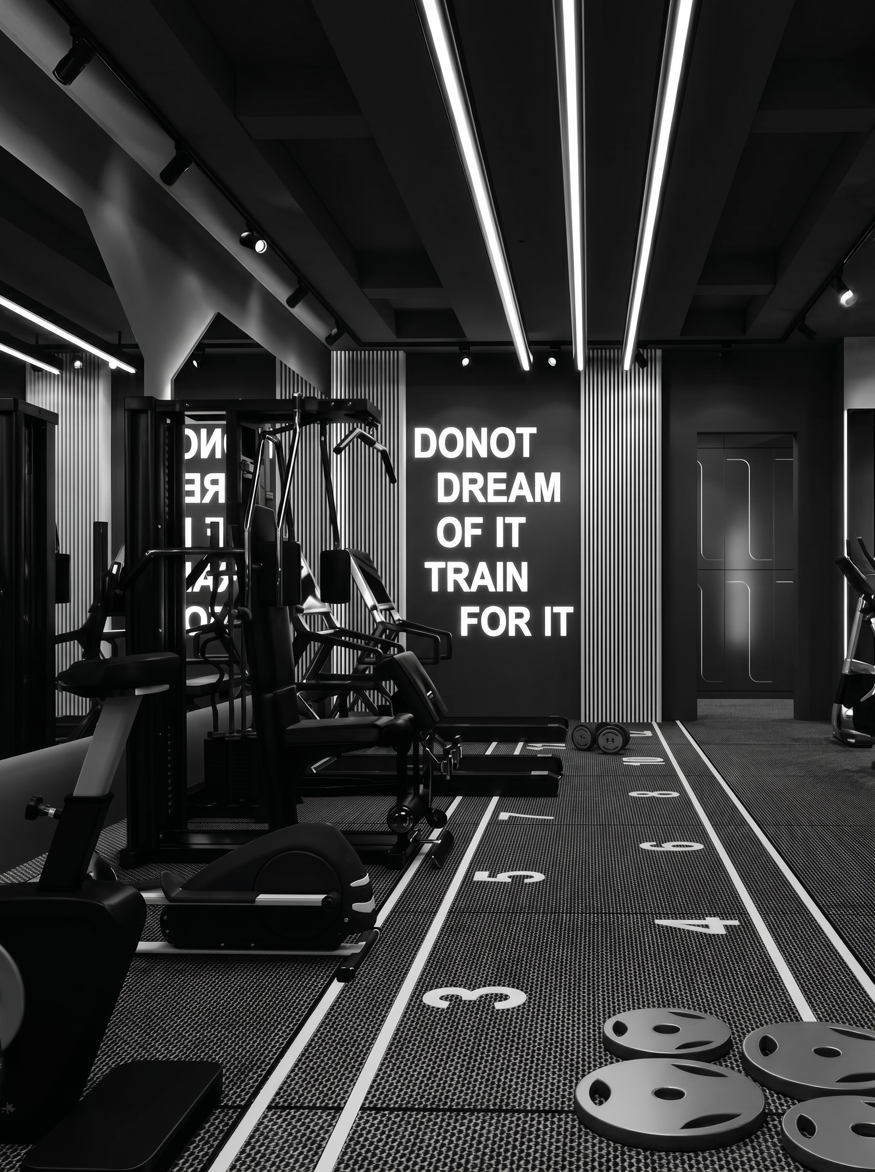 Fitness Collection