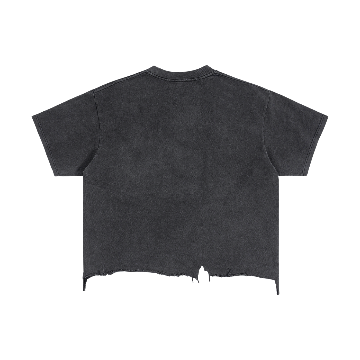 Ghost Rider Disc - Vintage Washed Boxy Distressed Tee